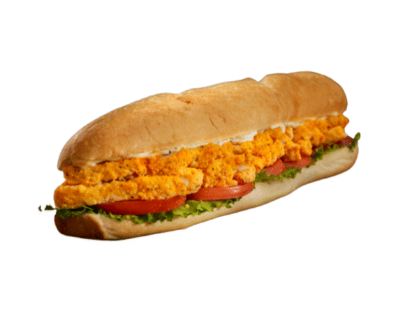 CRISPY CHICKEN